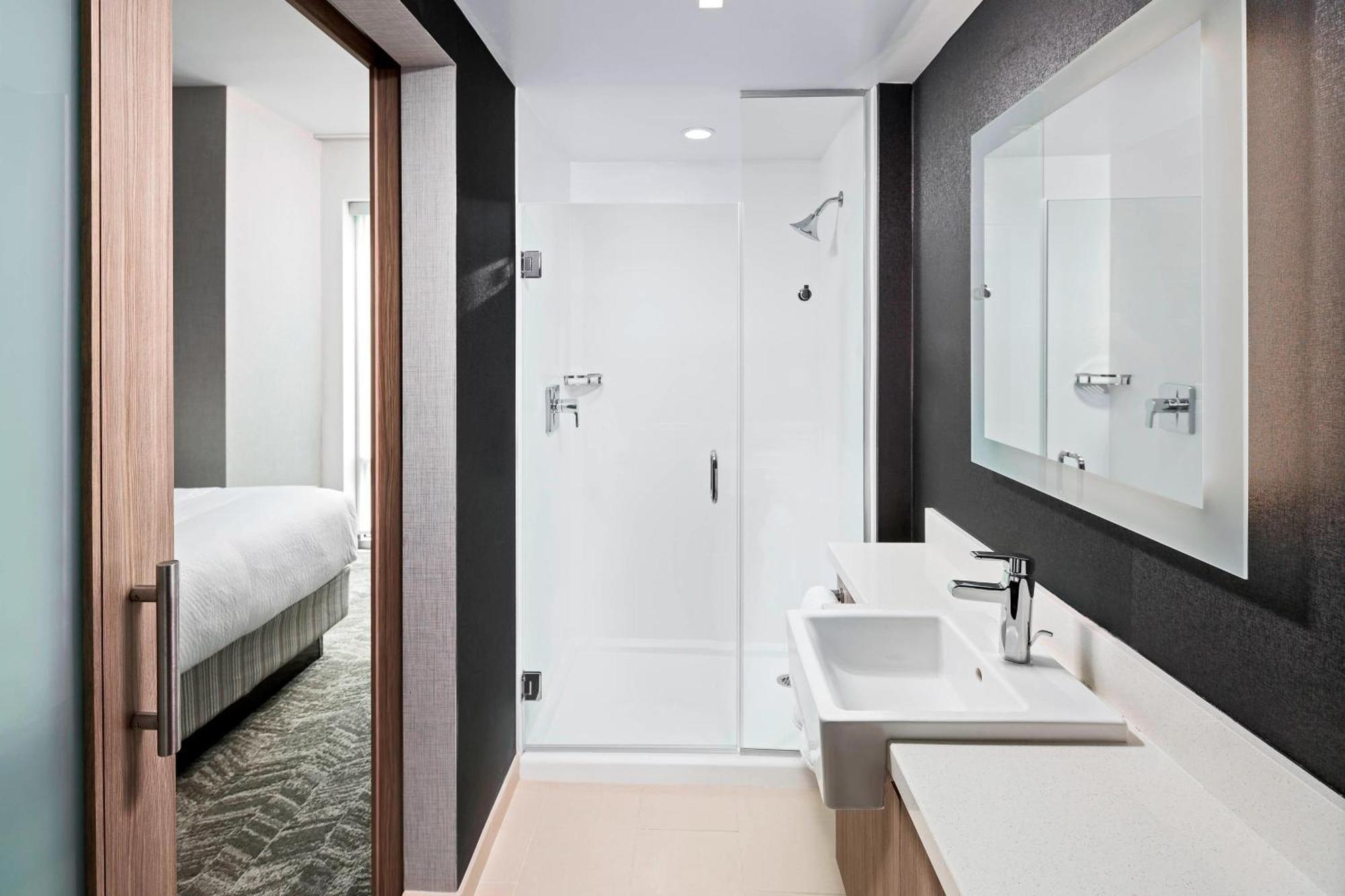 Springhill Suites By Marriott Greenville Downtown Екстериор снимка